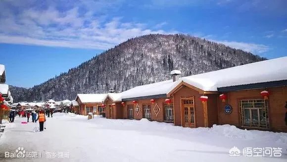 明知道雪乡宰客,为什么还有人要去,不能找正规旅行社吗?