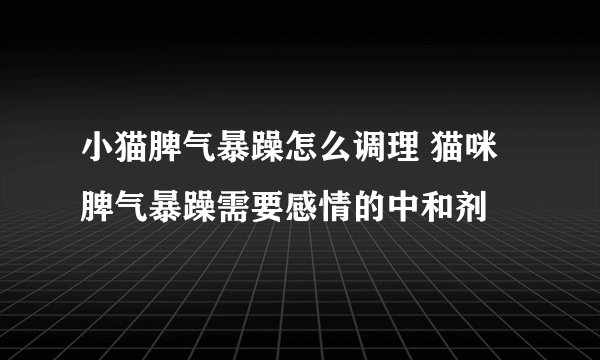 小猫脾气暴躁怎么调理 猫咪脾气暴躁需要感情的中和剂