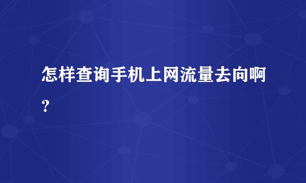 怎样查询手机上网流量去向啊?
