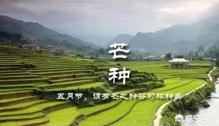 民间说:“最怕端午节水,不怕七月半鬼”到底是什么意思?