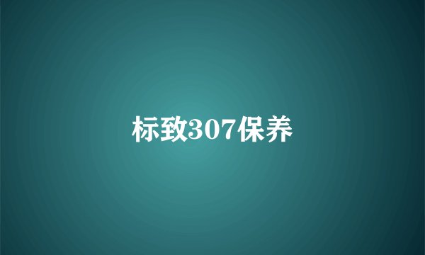 标致307保养