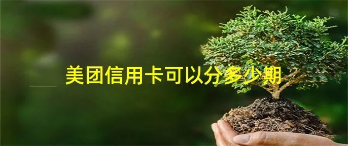 美团信用卡可以分多少期
