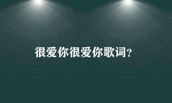 很爱你很爱你歌词？