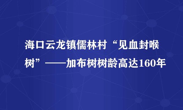 海口云龙镇儒林村“见血封喉树”——加布树树龄高达160年