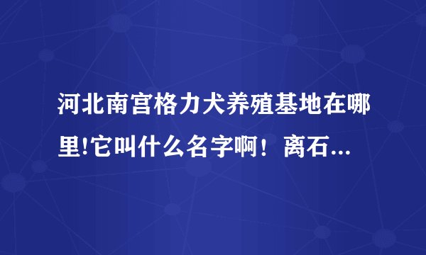 河北南宫格力犬养殖基地在哪里!它叫什么名字啊!离石家庄多远啊!