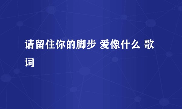请留住你的脚步 爱像什么 歌词