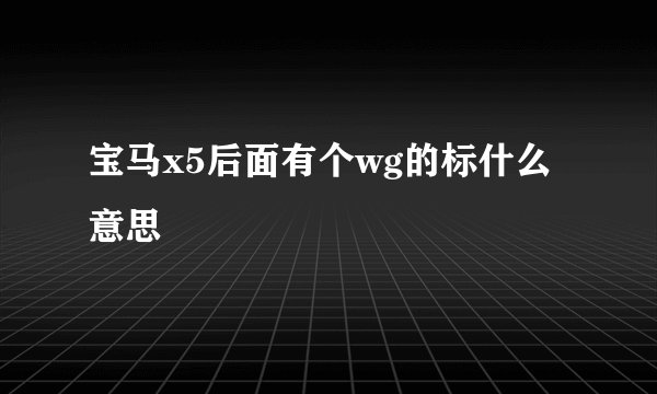 宝马x5后面有个wg的标什么意思