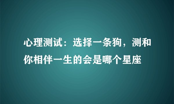心理测试：选择一条狗，测和你相伴一生的会是哪个星座