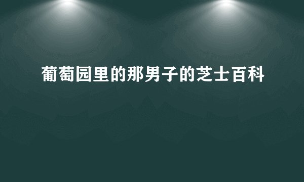葡萄园里的那男子的芝士百科