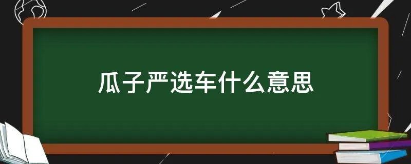 瓜子严选车什么意思