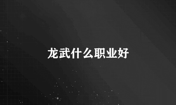龙武什么职业好