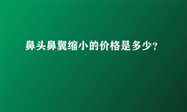 鼻头鼻翼缩小的价格是多少？