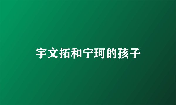 宇文拓和宁珂的孩子