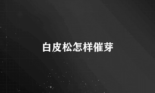 白皮松怎样催芽