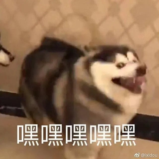 zara必买的11件单品