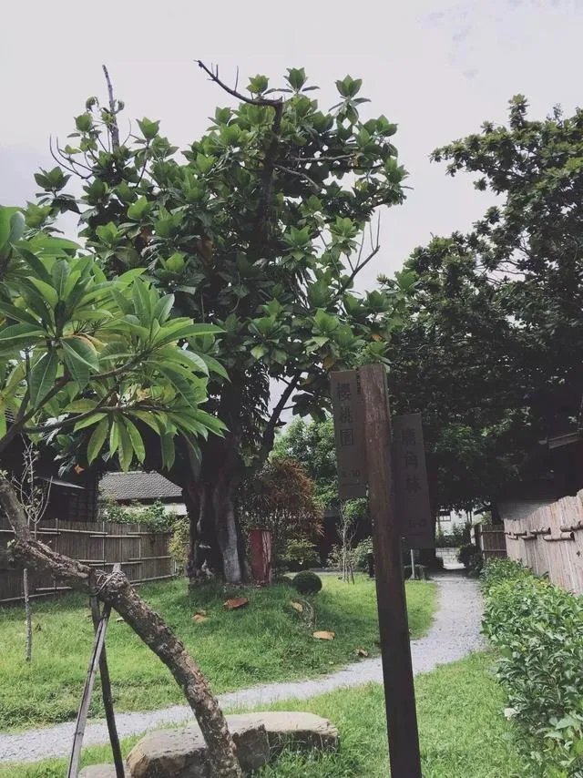 花莲哪几个景点不能错过?