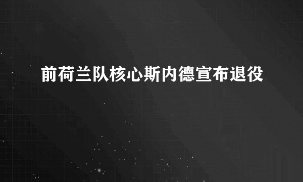 前荷兰队核心斯内德宣布退役
