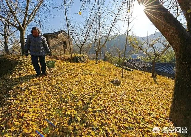 农村老家又冷又脏，真心不愿意回家，可父母一直在催，自己该怎么办？