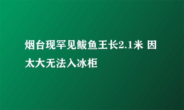 烟台现罕见鲅鱼王长2.1米 因太大无法入冰柜