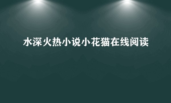 水深火热小说小花猫在线阅读