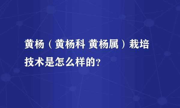 黄杨（黄杨科 黄杨属）栽培技术是怎么样的？