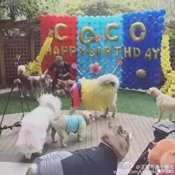王思聪频繁约会网红，他的初恋是谁？