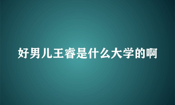 好男儿王睿是什么大学的啊