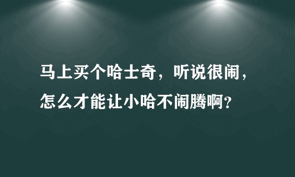 马上买个哈士奇，听说很闹，怎么才能让小哈不闹腾啊？