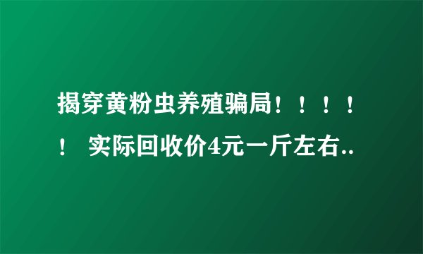 揭穿黄粉虫养殖骗局！！！！！ 实际回收价4元一斤左右..