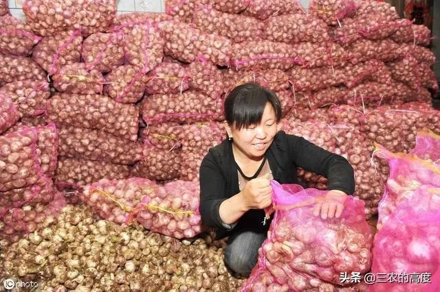 大蒜降价了