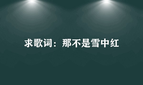 求歌词：那不是雪中红