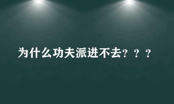 为什么功夫派进不去？？？