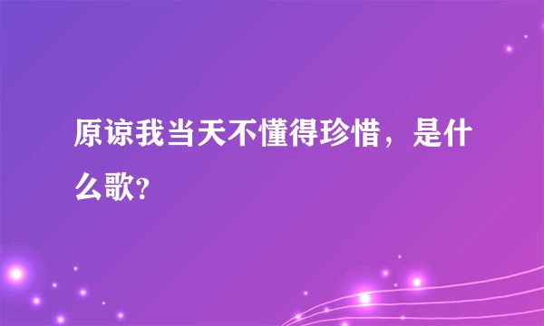 原谅我当天不懂得珍惜，是什么歌？