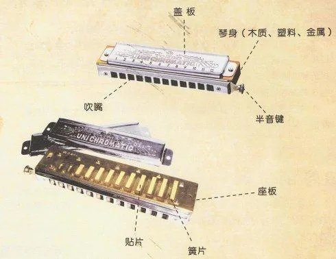 最简易的吹奏乐器是什么?求帮助!谢谢!