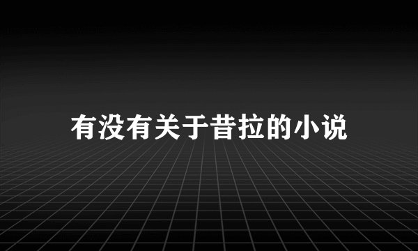 有没有关于昔拉的小说