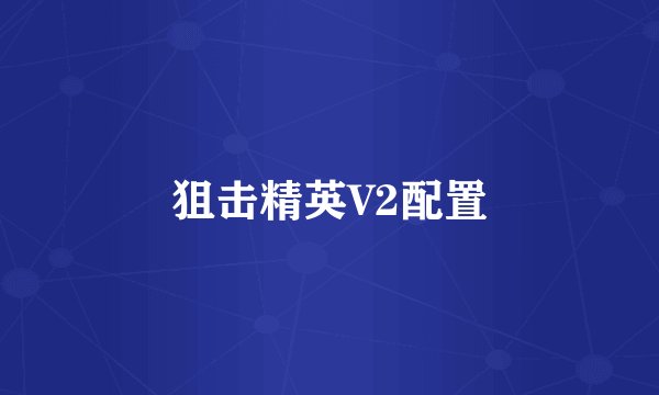 狙击精英V2配置