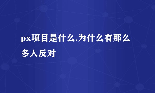 px项目是什么.为什么有那么多人反对