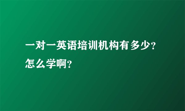 一对一英语培训机构有多少？怎么学啊？