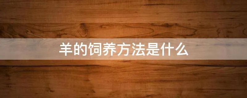 羊的饲养方法是什么