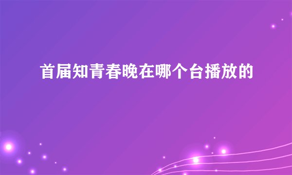 首届知青春晚在哪个台播放的