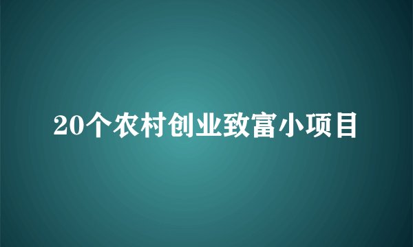 20个农村创业致富小项目