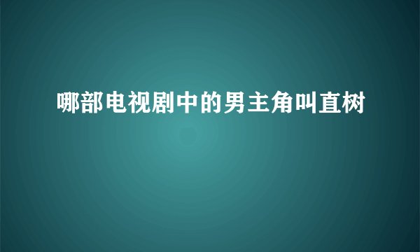 哪部电视剧中的男主角叫直树