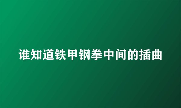 谁知道铁甲钢拳中间的插曲