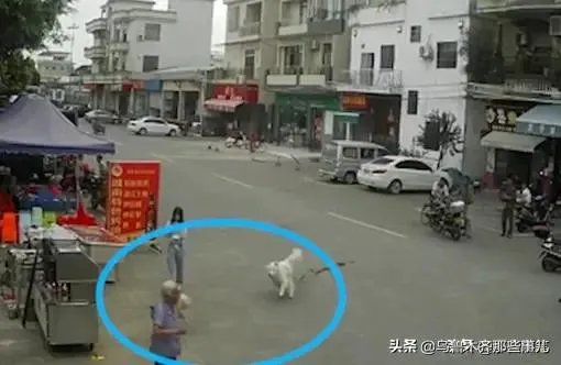 为什么佛山88岁老人被狗绊倒家属不追责?如何去理解这种做法?
