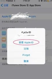 app store 查看apple id进不去