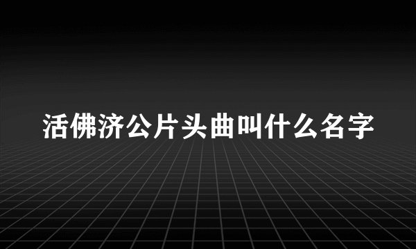 活佛济公片头曲叫什么名字