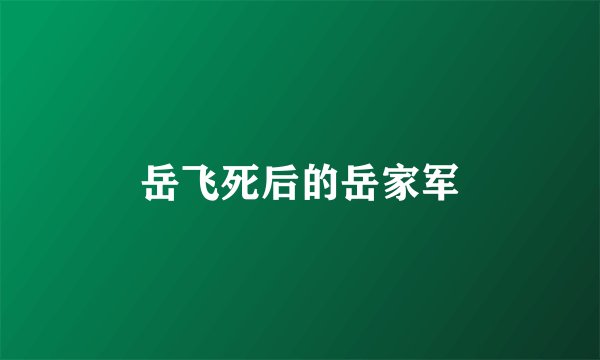 岳飞死后的岳家军