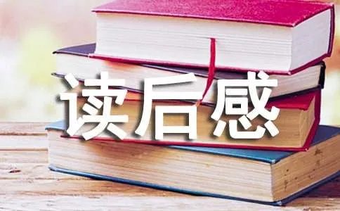 《透明的哀伤》读后感