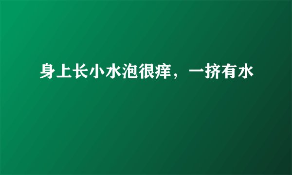 身上长小水泡很痒，一挤有水