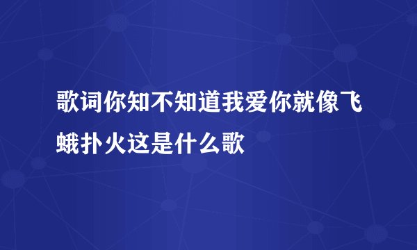 歌词你知不知道我爱你就像飞蛾扑火这是什么歌